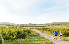 Radeln durch das Weinviertel, © Niederösterreich Werbung / Astrid Bartl