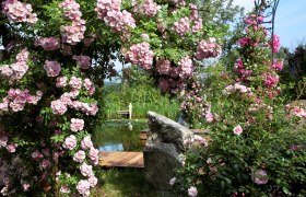 Cottage Garten Fam. Ungersböck, © "Natur im Garten" Alexander Haiden