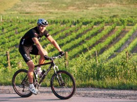 Radeln durchs Weinviertel, © Weinviertel Tourismus / Schreiner