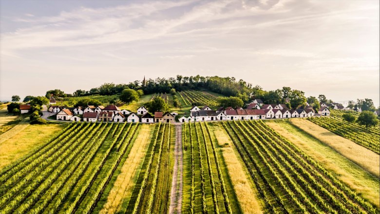 Der Galgenberg, © Weinstraße Weinviertel / Robert Herbst