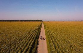 Radeln Sie durch die ruhige Landschaft, © Niederösterreich Werbung / Franziska Consolati